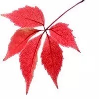 『中招』北京交通运输职业学院:随迁子女中考生的最好选择