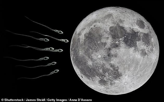 670万种生物的精子和卵子将送到月球，建造月球方舟进行封存！