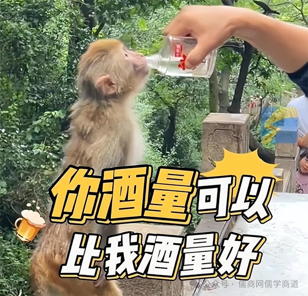 【20250823早报】金正恩泪拥援俄官兵;女老虎王莉霞被查;黄河桥垮塌原因披露;大爷给猴喂白酒夸猴酒量高