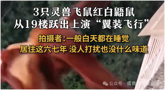 【20250902早报】上合天津宣言;九三阅兵安排;金正恩抵京;景区回应女童被虎咬伤;韩女子东京街头遭割喉