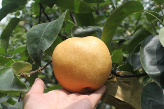 ����֮�㡤Բ�ƣ�����԰�����ĺ�����ζ